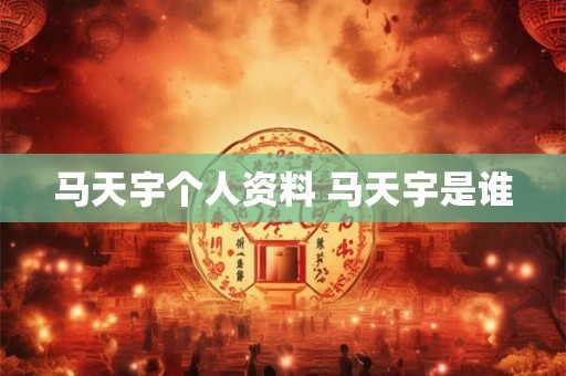 马天宇个人资料 马天宇是谁