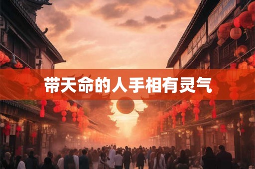 带天命的人手相有灵气