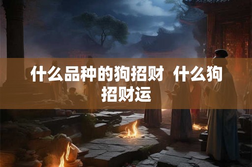 什么品种的狗招财 什么狗招财运 什么品种的狗招财 什么狗招财运