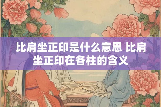 比肩坐正印是什么意思 比肩坐正印在各柱的含义 比肩坐正印是什么意思 比肩坐正印在各柱的含义