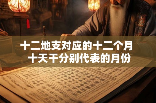 十二地支对应的十二个月  十天干分别代表的月份