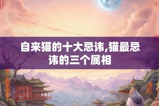 自来猫的十大忌讳,猫最忌讳的三个属相 自来猫的十大忌讳,猫最忌讳的三个属相