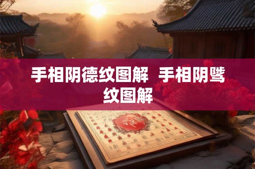 手相阴德纹图解  手相阴骘纹图解