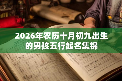 2026年农历十月初九出生的男孩五行起名集锦