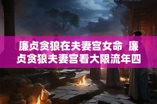 廉贞贪狼在夫妻宫女命  廉贞贪狼夫妻宫看大限流年四化
