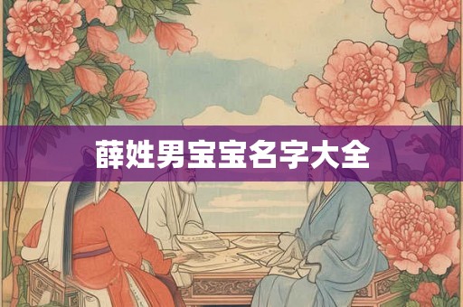 薛姓男宝宝名字大全