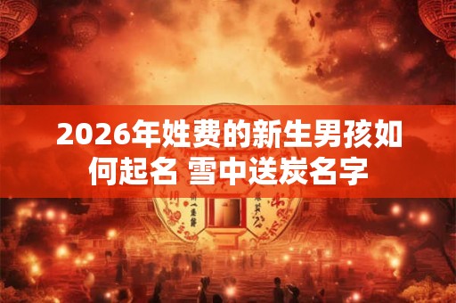 2026年姓费的新生男孩如何起名 雪中送炭名字