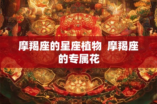 摩羯座的星座植物  摩羯座的专属花