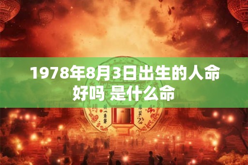 1978年8月3日出生的人命好吗 是什么命