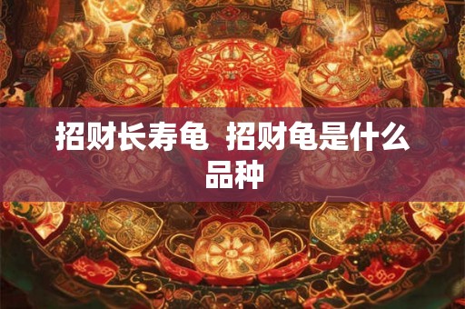 招财长寿龟  招财龟是什么品种