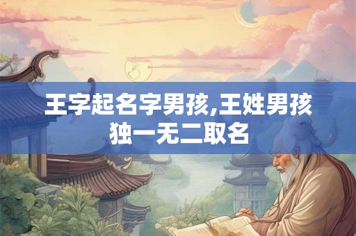 王字起名字男孩,王姓男孩独一无二取名