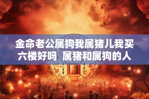 金命老公属狗我属猪儿我买六楼好吗  属猪和属狗的人相配吗