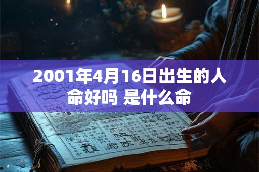 2001年4月16日出生的人命好吗 是什么命