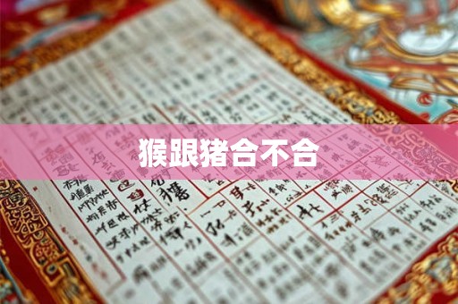 猴跟猪合不合