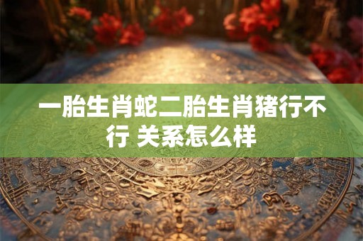 一胎生肖蛇二胎生肖猪行不行 关系怎么样