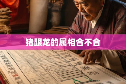 猪跟龙的属相合不合 猪跟龙的属相合不合