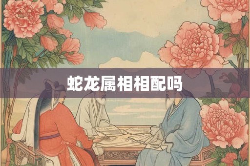 蛇龙属相相配吗