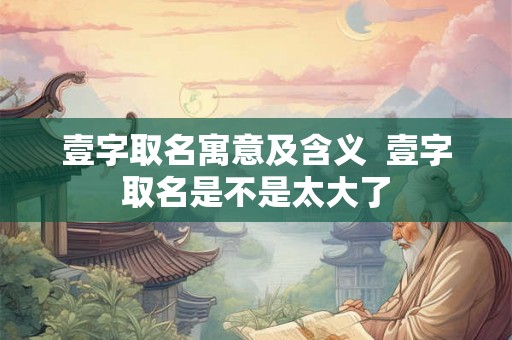壹字取名寓意及含义  壹字取名是不是太大了