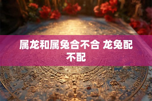 属龙和属兔合不合 龙兔配不配 属龙和属兔合不合 龙兔配不配
