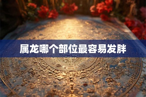 属龙哪个部位最容易发胖 属龙哪个部位最容易发胖