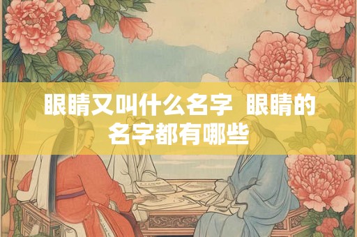 眼睛又叫什么名字  眼睛的名字都有哪些