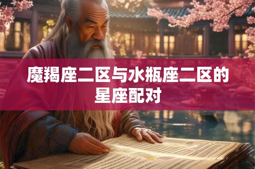 魔羯座二区与水瓶座二区的星座配对
