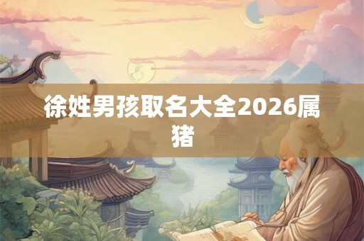 徐姓男孩取名大全2026属猪