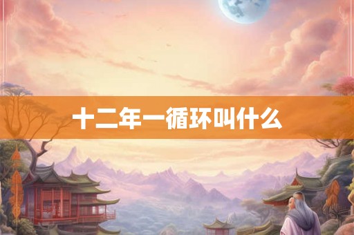 十二年一循环叫什么