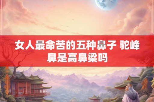 女人最命苦的五种鼻子 驼峰鼻是高鼻梁吗