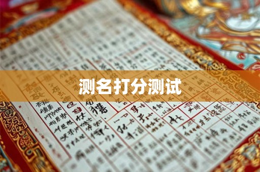 测名打分测试