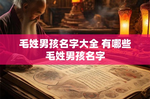 毛姓男孩名字大全 有哪些毛姓男孩名字