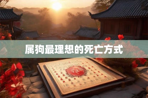 属狗最理想的死亡方式