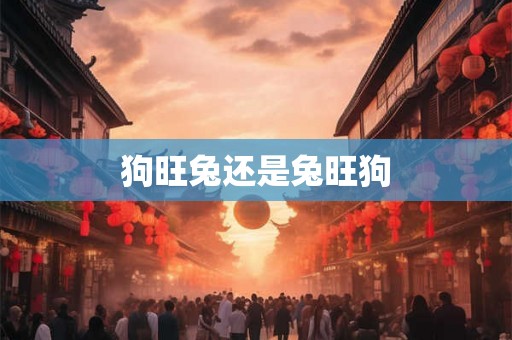 狗旺兔还是兔旺狗