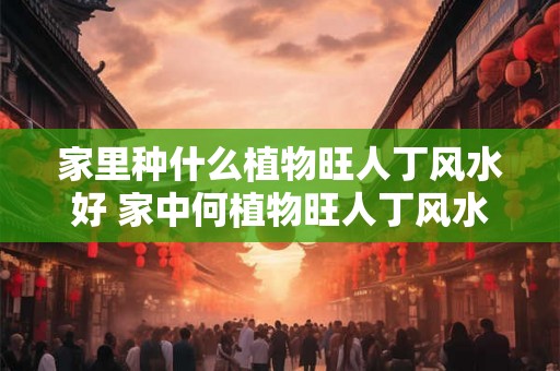 家里种什么植物旺人丁风水好 家中何植物旺人丁风水佳 家里种什么植物旺人丁风水好 家中何植物旺人丁风水佳