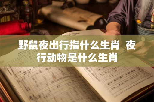 野鼠夜出行指什么生肖  夜行动物是什么生肖