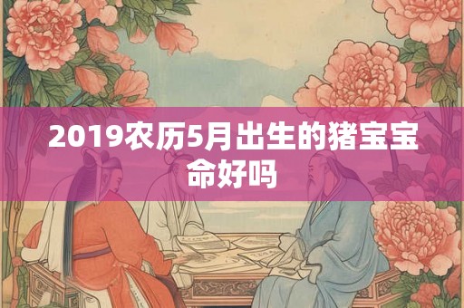 2019农历5月出生的猪宝宝命好吗