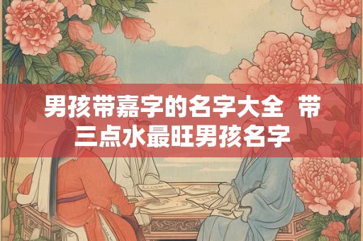 男孩带嘉字的名字大全  带三点水最旺男孩名字