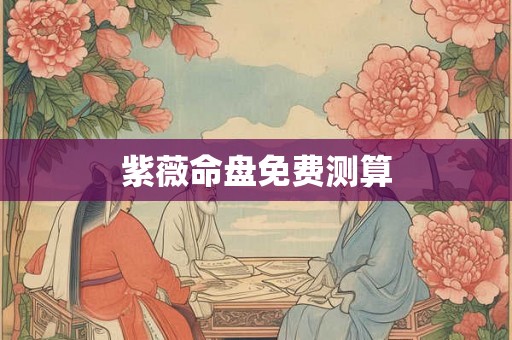 紫薇命盘免费测算