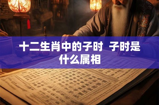 十二生肖中的子时  子时是什么属相