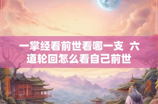 一掌经看前世看哪一支  六道轮回怎么看自己前世