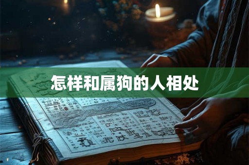 怎样和属狗的人相处