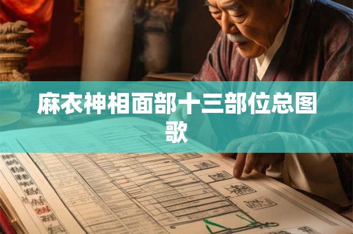 麻衣神相面部十三部位总图歌
