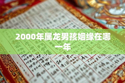 2000年属龙男孩姻缘在哪一年