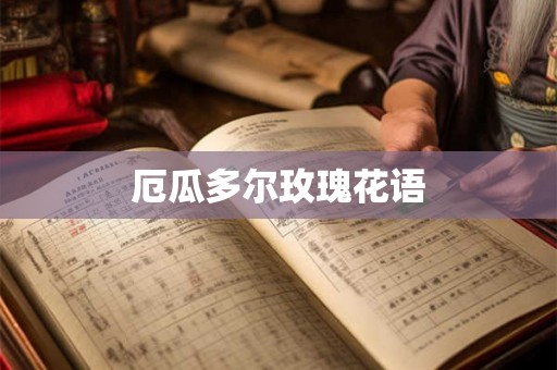 厄瓜多尔玫瑰花语