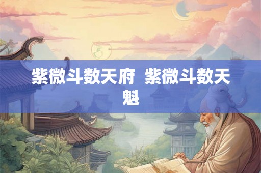 紫微斗数天府  紫微斗数天魁