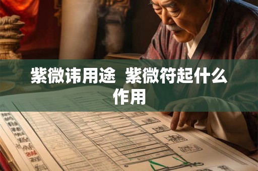 紫微讳用途  紫微符起什么作用