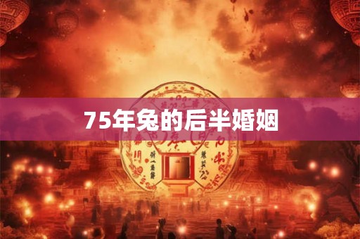 75年兔的后半婚姻