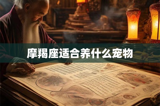 摩羯座适合养什么宠物