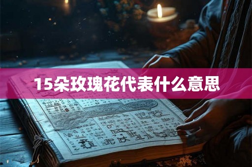15朵玫瑰花代表什么意思