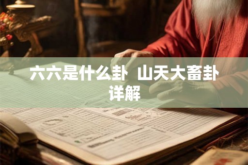 六六是什么卦  山天大畜卦详解